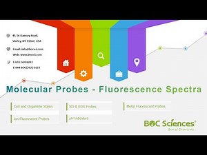 Molecular Probes: Illuminating Cellular Biology – What Are Molecular Probes? – BOC Sciences