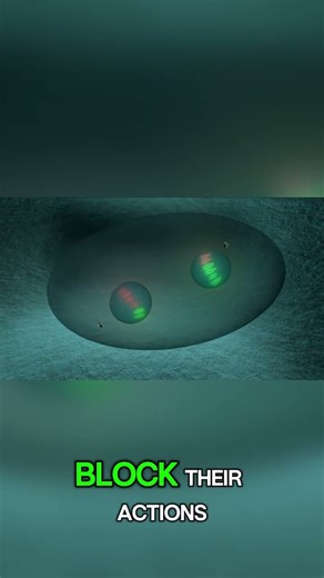 “Endocrine Pharmacology Made Easy Hormones, Drugs & Their Actions Explained in Minutes!”