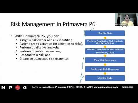 Managing Risks with Primavera P6