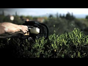 Hedge Trimming the Fast Way