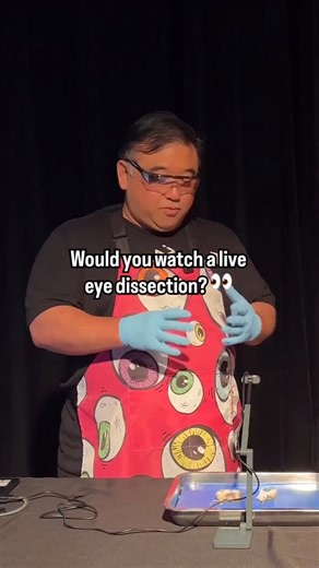 👀 Ready to SEE science in a whole new way? 🔎 At the Eye Dissection Show, Griffin MSI facilitators dissect a real cow eye to explore how vision works and how conditions such as colorblindness and astigmatism affect what we see. 🎟️ This free, iris-sistible show is presented daily at 10:30 a.m., 12:30 p.m. and 2:30 p.m., and is included with General Admission. The Eye Dissection Show is made possible with generous support and supplies from Medline Industries, LP | Griffin Museum of Science and I