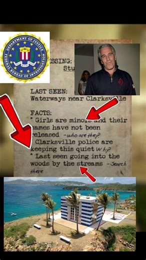 Feels a little specific. Is the sheepsquatch secretly epstein? #Epstein #FBI #island #fallout #funny