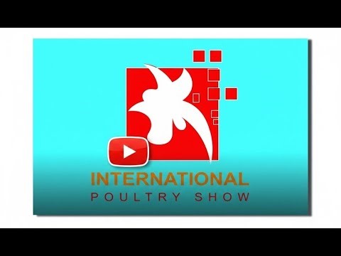 Poultry farm logo and mockup view