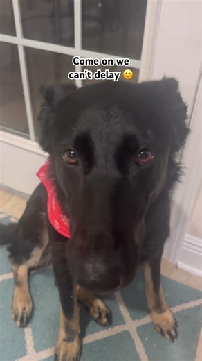 Will you help me? ￼