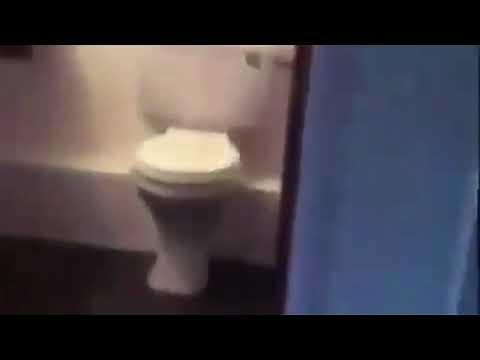 Exploding toilet meme 1 hour!