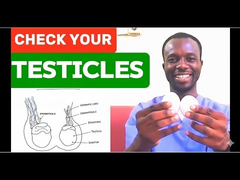 How To Examine Your Own Testicles in a Minute