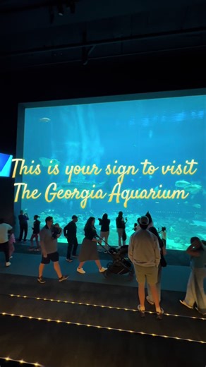 Unforgettable Experience at Georgia Aquarium