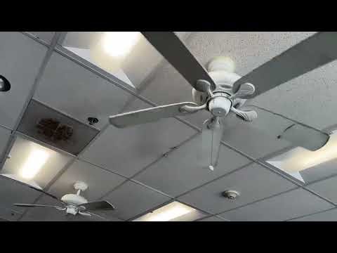 Hampton Bay Quick Connect Ceiling Fans at Disc Replay