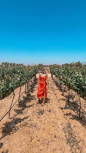 1.6K views | Just 1-hour away from the San Diego-Tijuana border (if...