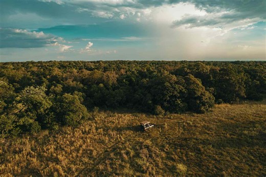 These Are the Best Places to See Wildlife in Brazil—Pink Dolphins, Spider Monkeys, and Macaws Included