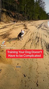 2.3K views · 44 reactions | Training your dog doesn’t have to be complicated. #dogobedience #dogtrainingtips #puppyobedience #puppytraining #dogbehavior | Best Buddy Dog Trainer, LLC | Facebook