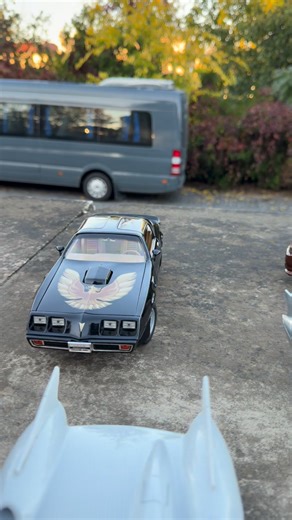 Models in to the wild | AC Collection