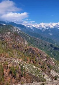 1.4K views · 178 reactions | My God it feels good to be alive!   @samanthalavina | Sequoia Parks Conservancy | Facebook