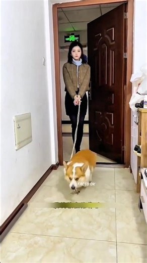 Dog picked up the girl in the circle of food 🍛😂 🐕