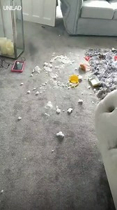 These kids have ALOT of cleaning up to do 🙈🙈 CONTENTbible | UNILAD