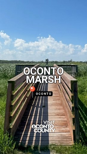 Discover a hidden gem of Wisconsin: the Oconto Marsh & Rush Point Refuge! 🌿🐦✨ Spanning over 800 acres, this breathtaking marsh is a birdwatcher’s paradise. From majestic Wood Ducks to the elusive Snowy Owl, you’ll be amazed by the diverse birdlife. 🦆🦉 Take a leisurely stroll along the 2.8-mile path, snapping stunning photos along the way. 📸 🚶‍♀️ Keep your eyes peeled for the vibrant Yellow-headed Blackbird, a local treasure! 💛🖤 Relax on the platform or benches, soaking in the serene atmo