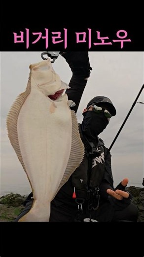 5/26 Flatfish Hunting with Minnow