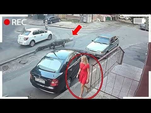 200 Real-Life Shocking Moments Caught on CCTV – You Won’t Believe What Happens Next!