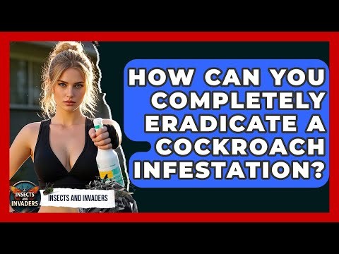 How Can You Completely Eradicate A Cockroach Infestation? - Insects and Invaders