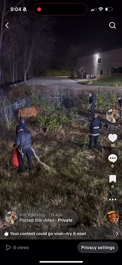 Volume up, Meet Captain Evans, he’s been with Norwich for nearly 35 years. Earlier this week he had the opportunity to play cowboy on I270 while trying to wrangle Marigold. We appreciate Jeff’s efforts and all that he has contributed to our community. The crew created this video for the occasion. Posted with Captain Evans permission. | Norwich Township Fire Department