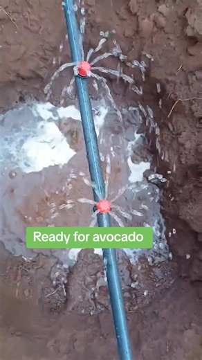 𝙄𝙧𝙧𝙞𝙜𝙖𝙩𝙞𝙤𝙣 𝙨𝙮𝙨𝙩𝙚𝙢 𝙙𝙚𝙨𝙞𝙜𝙣 𝙖𝙣𝙙 𝙞𝙣𝙨𝙩𝙖𝙡𝙡𝙖𝙩𝙞𝙤𝙣𝙨💦💦 | Davis agricultural engineering solutions