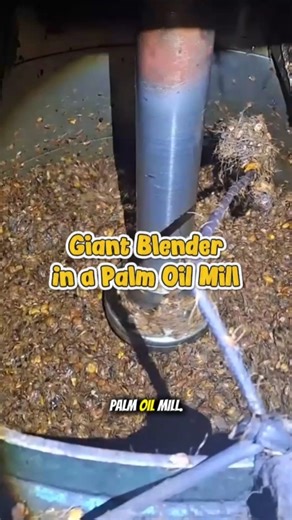Inside a palm oil mill digester, the giant blender of palm fruit processing. #palmoil #factory