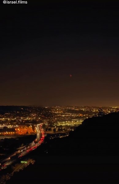 Israel Films (@israel.films)’s videos with original sound - Renee