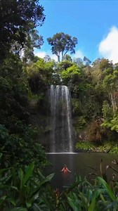 1.8K views · 15 reactions | WELCOME TO AUSTRALIA 輦 It’s no...