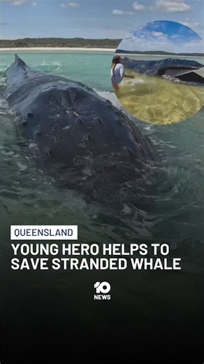 Young Hero Helps To Save Stranded Whale | 10 News
