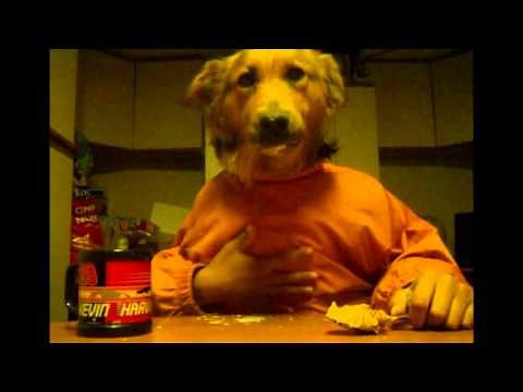 Dogs with Human Hands