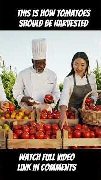 Watch full videoLink in comments