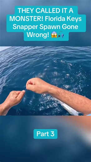THEY CALLED IT A MONSTER! Florida Keys Snapper Spawn Gone Wrong! 😱🎣 #fishinglife #floridakeys #bigfish #fishingadventure #catchandrelease