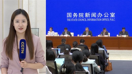 Explainer: China's commerce development during the 14th Five-Year Plan Period