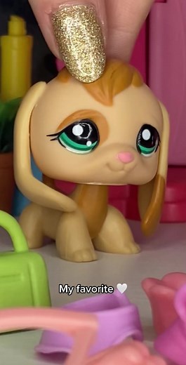 I can’t believe I finally have this beagle 😭 #LPS #Littlestpetshop #LpsTok #LPStiktok #LPSbeagle #LPSbull #LPSpersian #LPSiguana #LPSvideos