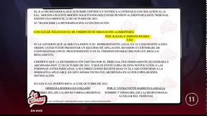 ¿Revés? | ¡Se viró la tortilla! Elvis Crespo, en otro lio en corte. El cantante tendrá que pagar pensión alimentaria. #LaComay #QueBochinche #TrabajandoParaLaPrensa #LaComayRegreso #Vivelo | La Comay TV