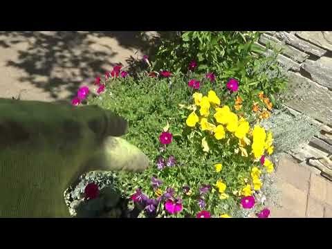 How to Check Drip Irrigation Bubblers for Dummies