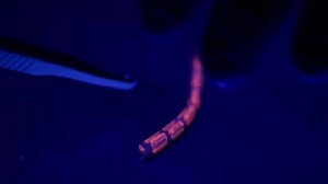 Local filmmaker highlights medical breakthroughs in stem cell research