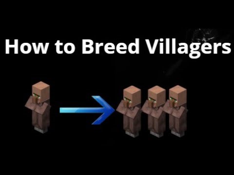 How to Breed Villagers in Minecraft 1.21 and Above? Easy Guide