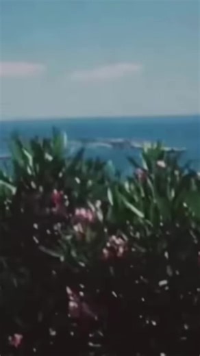 “MSY” Ruby’s part #fyp #uicideboysmusic #viral #thywillbedone #g59tothegrave