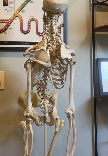 Morning Routine for a Beautiful Tuesday