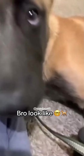 Shi tragic he not bout dat life or patek 🤦‍♂️😪