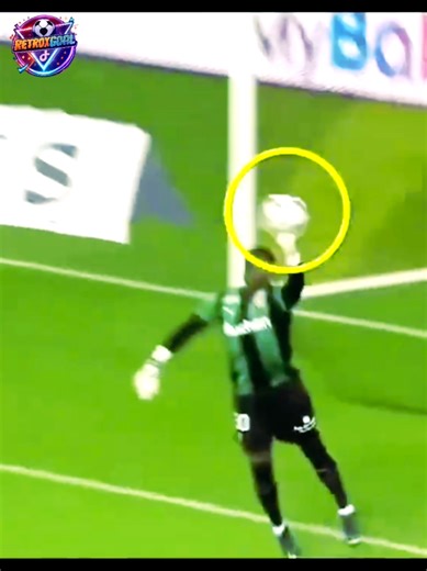 Incredible Goalkeeper Saves That Defy Belief