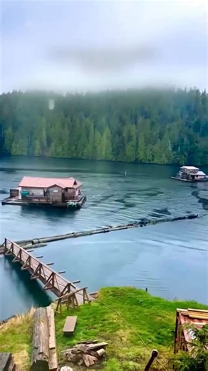 Facts By Joey on Instagram: "In Canada, they have floating homes. They float freely on the east coast without the use of any machine. But when a storm comes, they tie the platform on which the house stands to a tug boat so that they can be brought to calm waters. Would you like to live in such a floating home? If yes, then in India or abroad? #dailyfacts #factsforall #generalknowledge #factsinhindi #viralreels #factsindia #factreels #canadafacts #floatinghomes #factsforall #factsdailyinhindi #ge