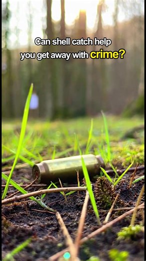 Can shell catch help you get away with crime?#shellcatch #shellcatcher #tiktokmademebuyit #dadssuportingdads #outdoors