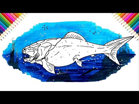 How to Draw Dunkleosteus | Drawing and Coloring
