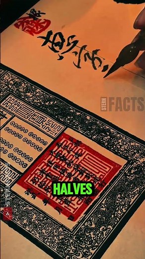 How Ancient Contracts Were Impossible to Fake 🤯