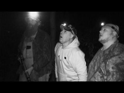 Something Is Out There and It Could Be the Black Wolf