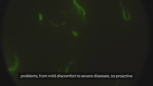 Cat Parasite Prevention Measures