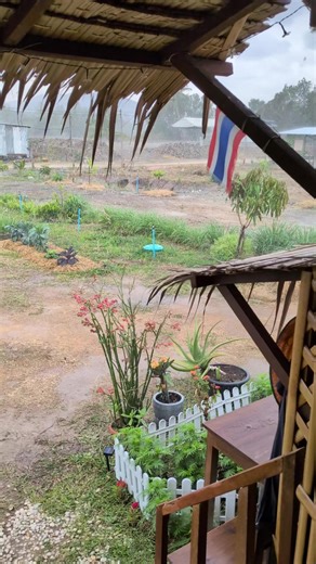 ดีใจที่สุดเมื่อฝนตกที่บ้านสวน