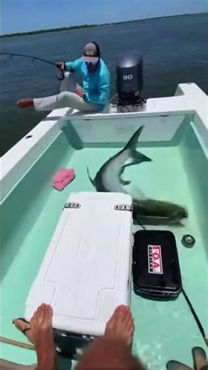 He Jumped STRAIGHT In… Big Mistake 😳🐟 #fishing #fishinglife
